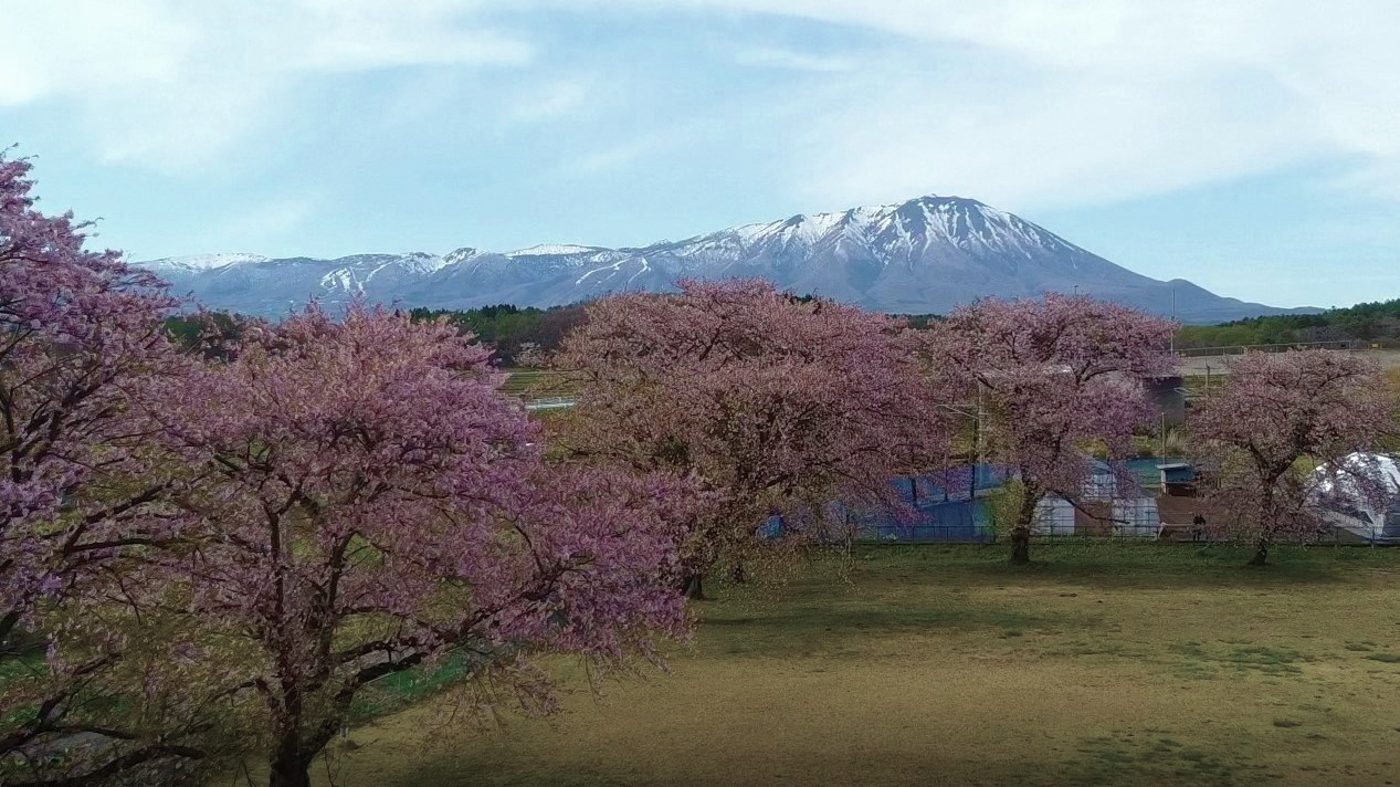 新着情報の画像